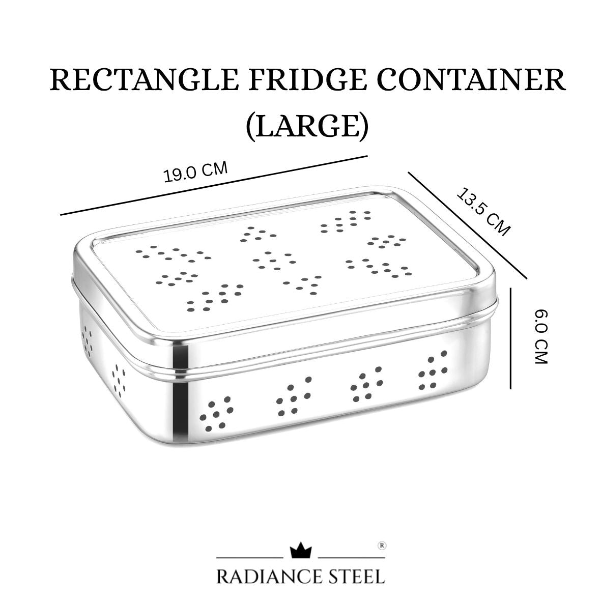 Stainless Steel Rectangle Fridge Container (Store Herbs And Veggies (Available in 2 sizes)
